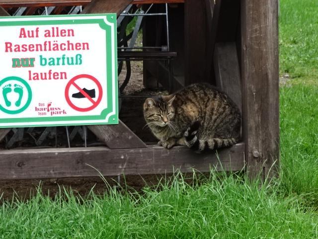 Gasthaus & Pension Am Kurfuerstendamm บวร์ก ภายนอก รูปภาพ